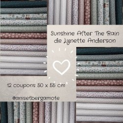 Tissus patchwork de la Collection sunshine after the rain de Lynette Anderson lot de 12 coupons