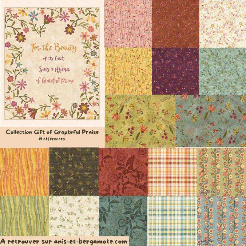 tissu patchwork collection gift of grateful praise de Janet Rae Nesbitt en lot 50x55cm tissu patchwork collection gift of grateful praise de Janet Rae Nesbitt en lot 50x55cm