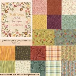 tissu patchwork collection gift of grateful praise de Janet Rae Nesbitt en lot 50x55cm